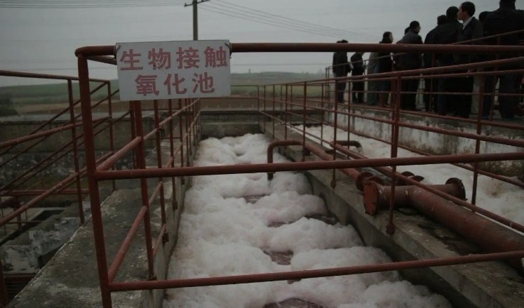 生物接觸氧化池的作用是什么？（生物接觸氧化池去除什么）-01