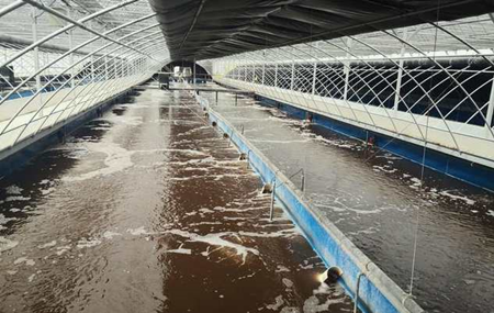 畜禽污水處理的方法、步驟（主流畜禽污水處理工藝有哪些）